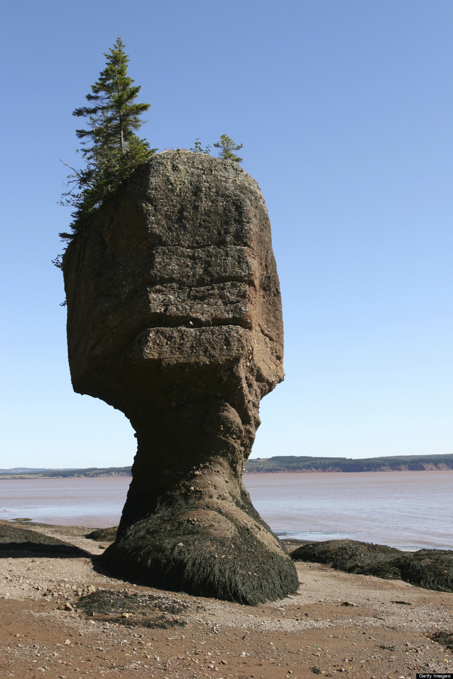 Fundy2.jpg