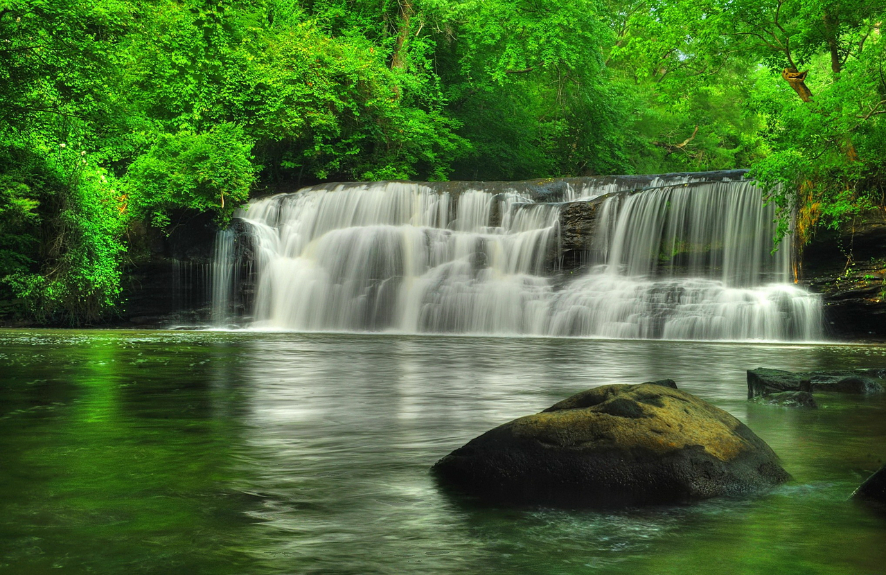 waterfall_forest-5.jpg