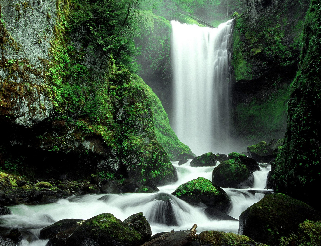waterfall_forest-8.jpg