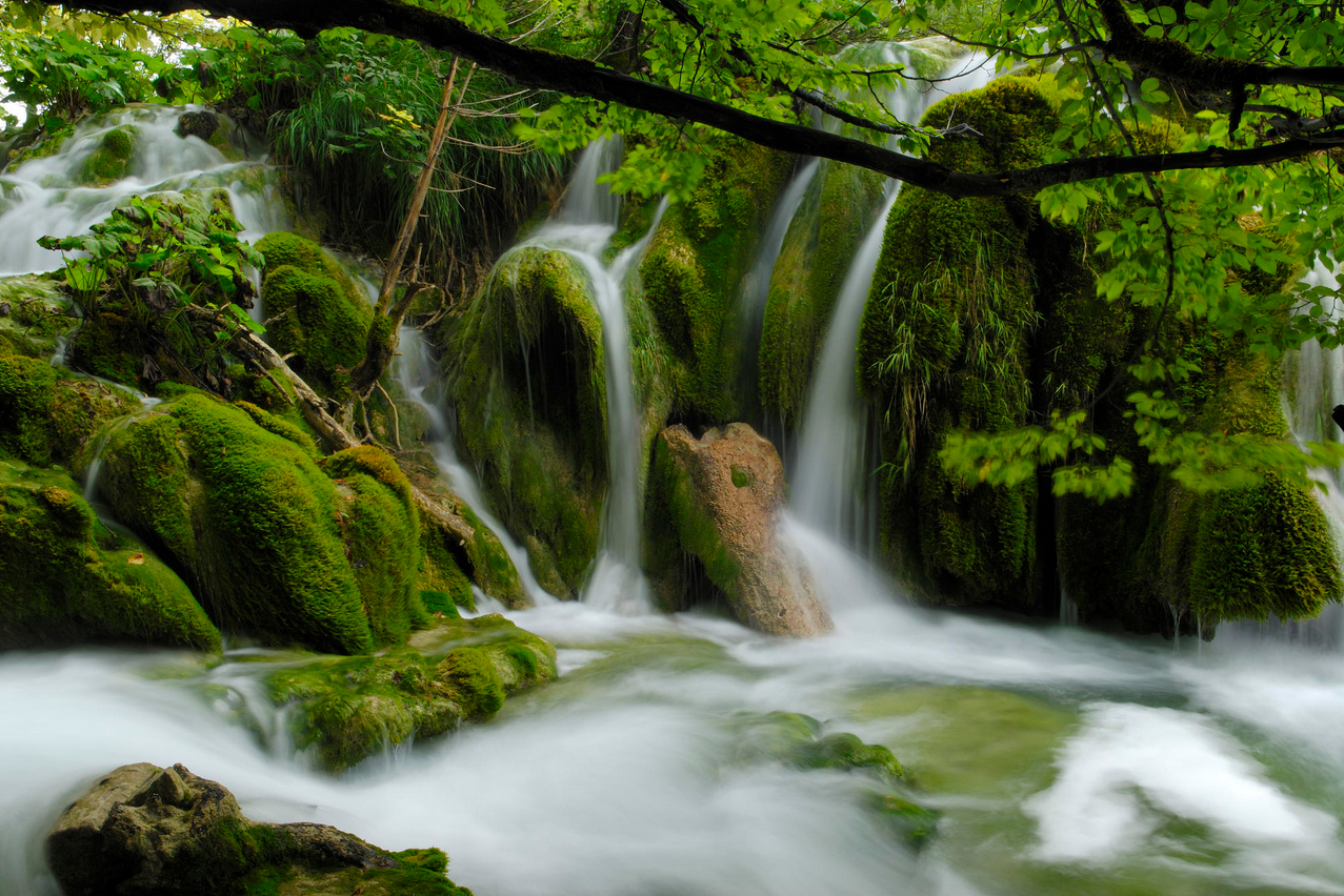 waterfall_forest-9.jpg