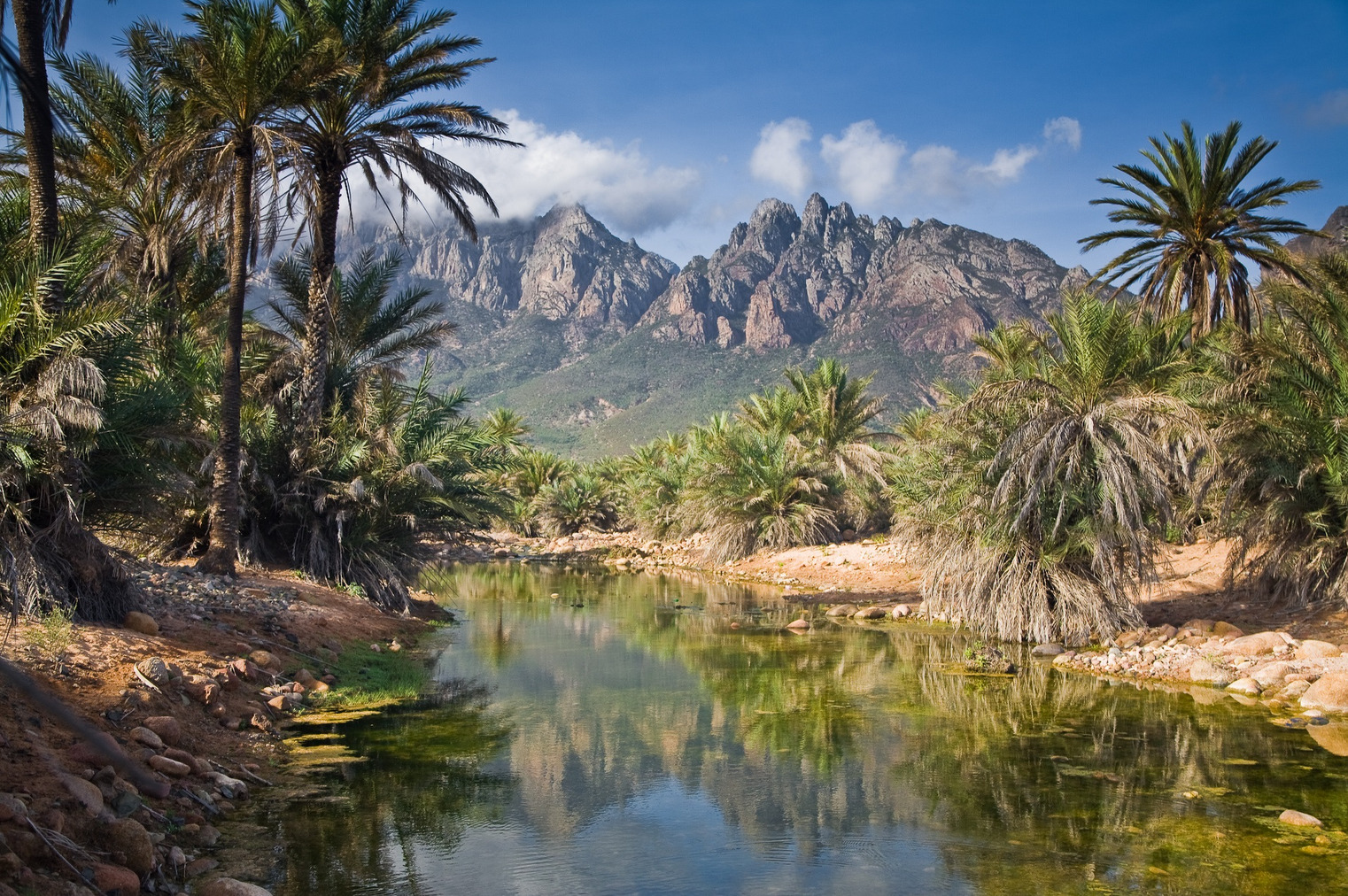 socotra-12.jpg