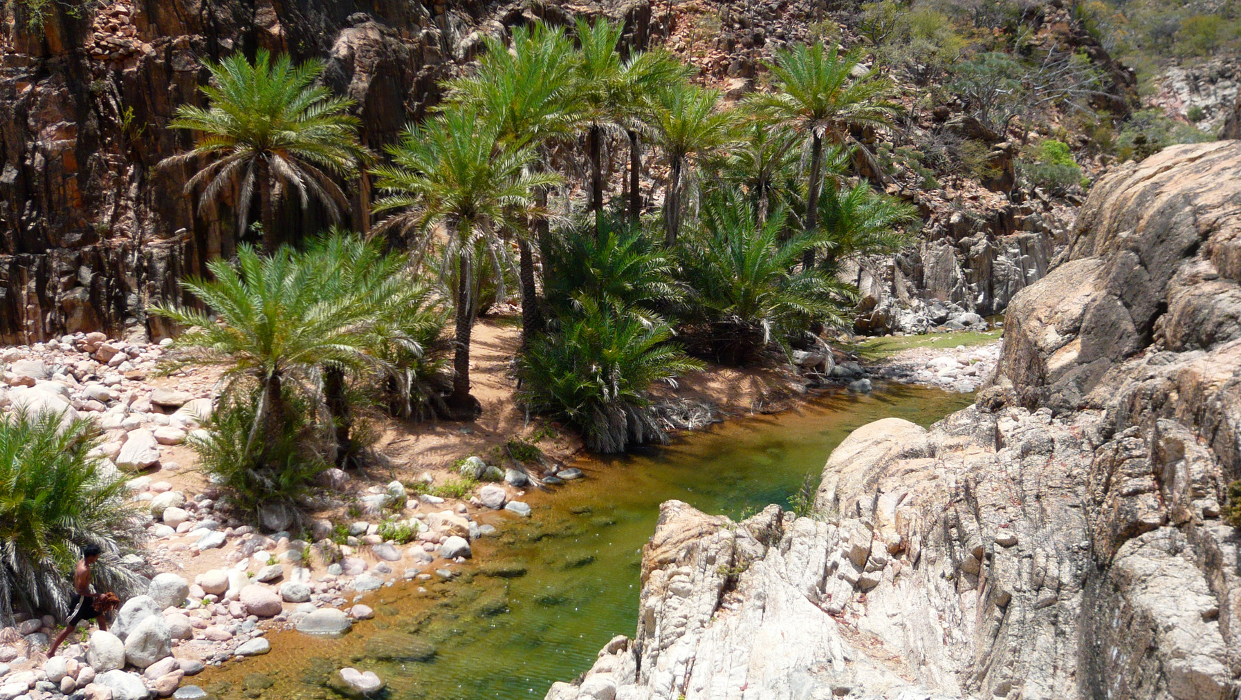 socotra-13.jpg