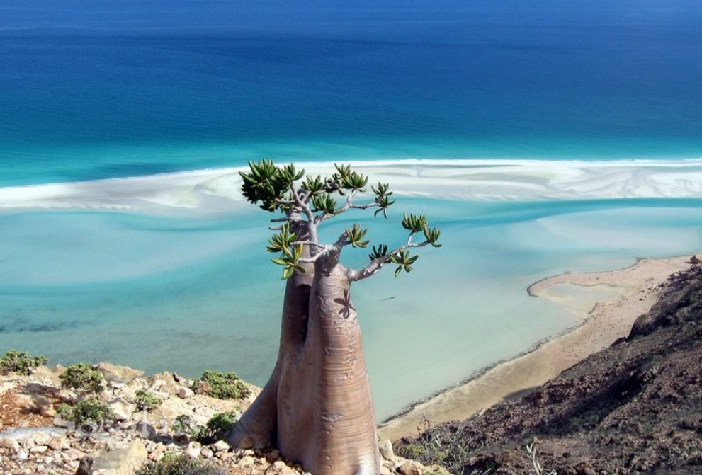 socotra-3.jpg