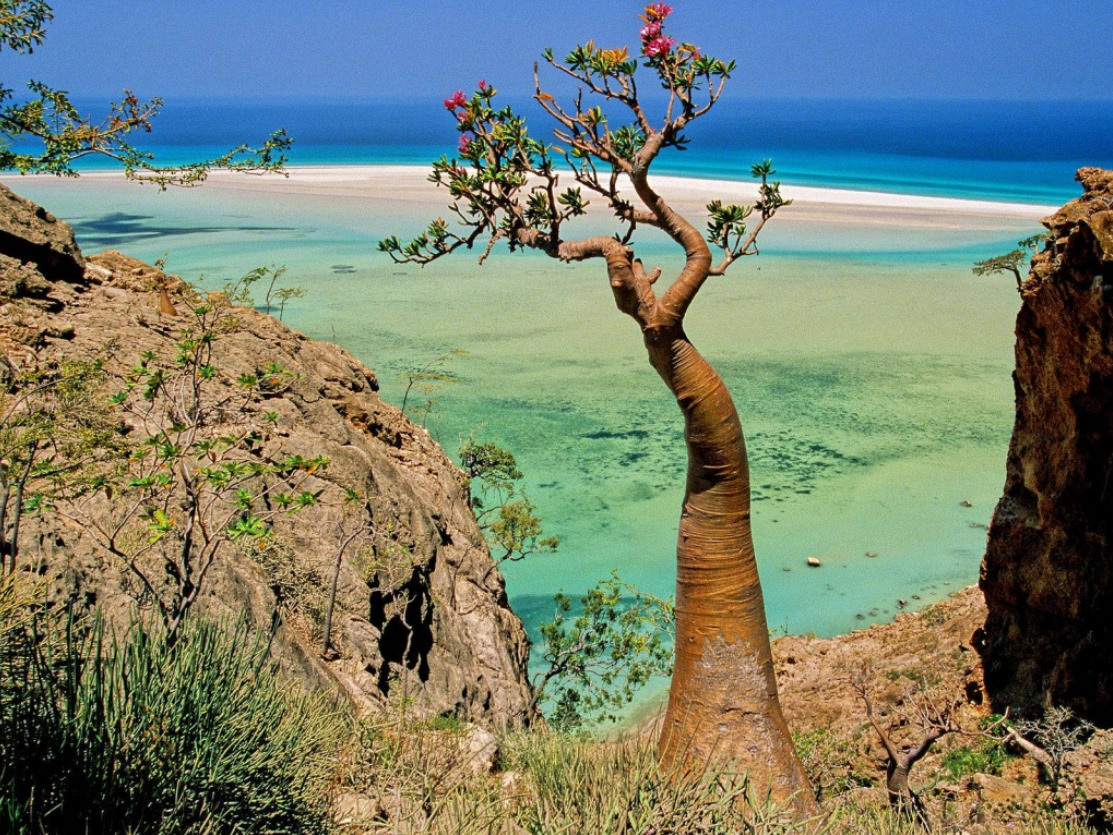 socotra-7.jpg