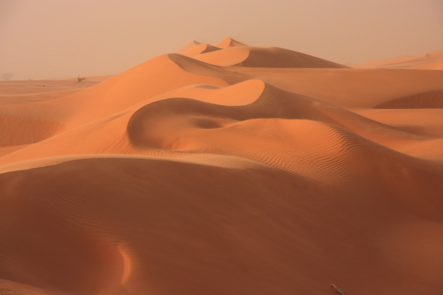 desert-2.jpg