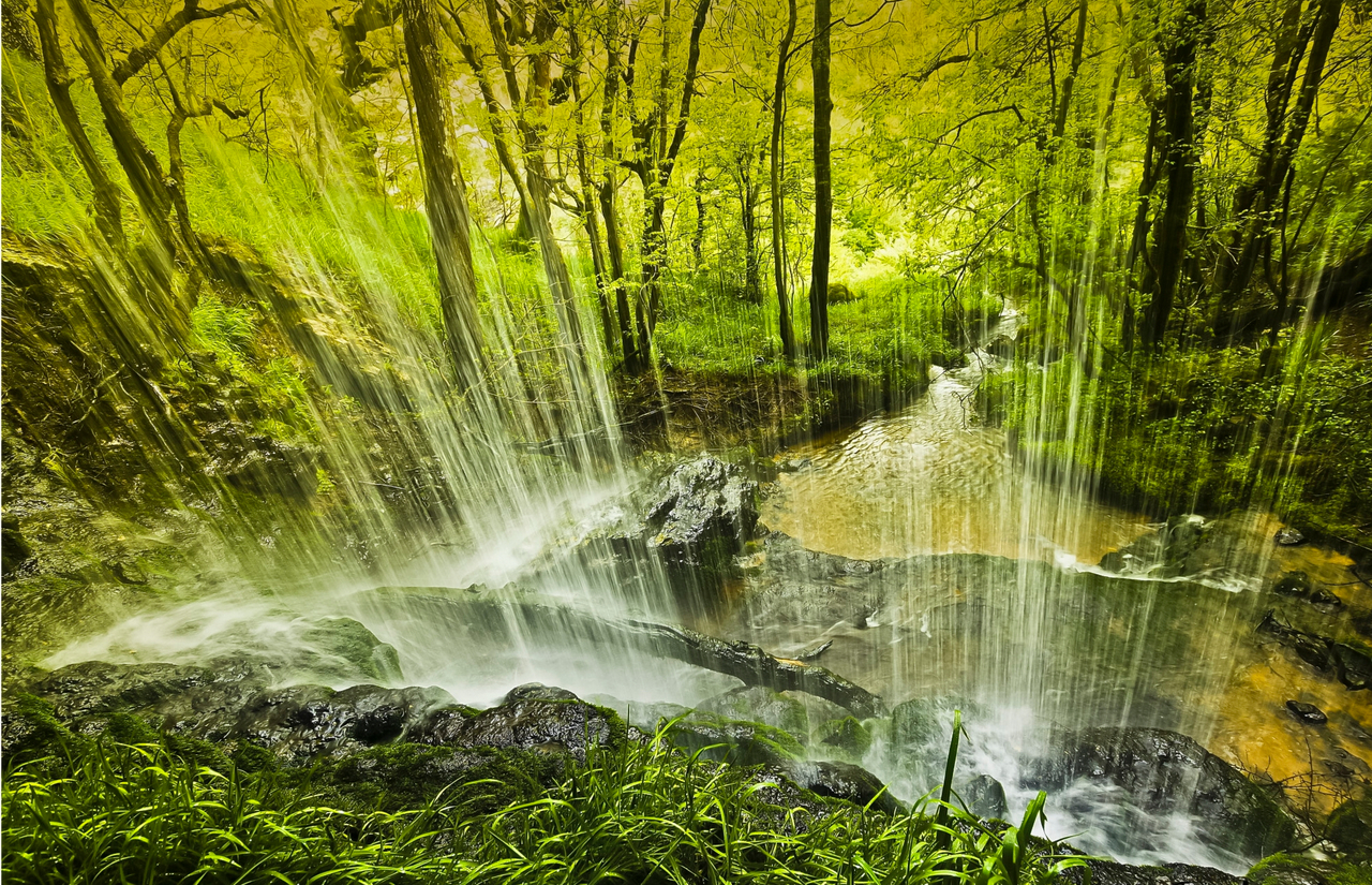 waterfall_forest-2.jpg