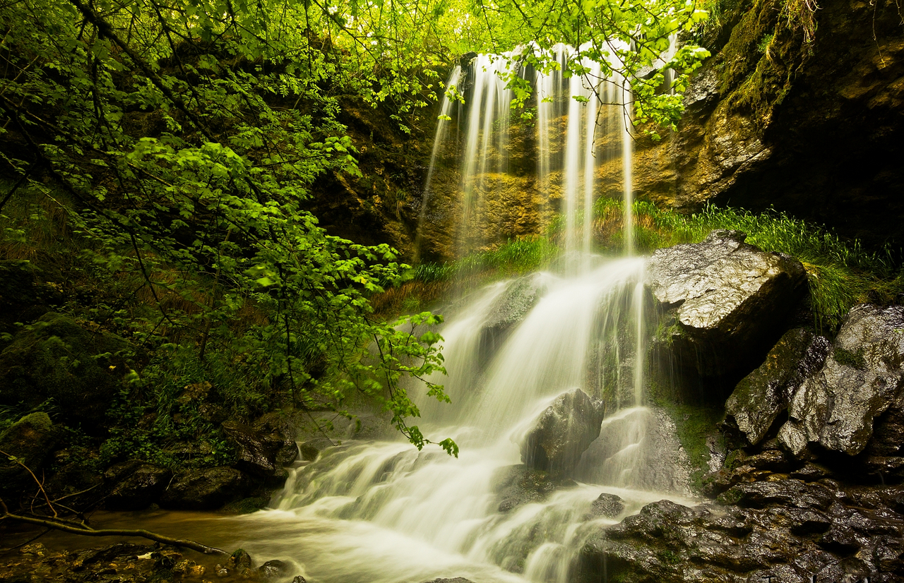 waterfall_forest-3.jpg