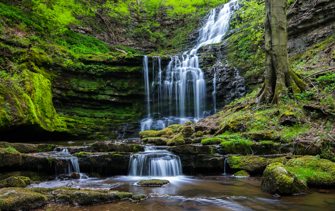 waterfall_forest-4.jpg