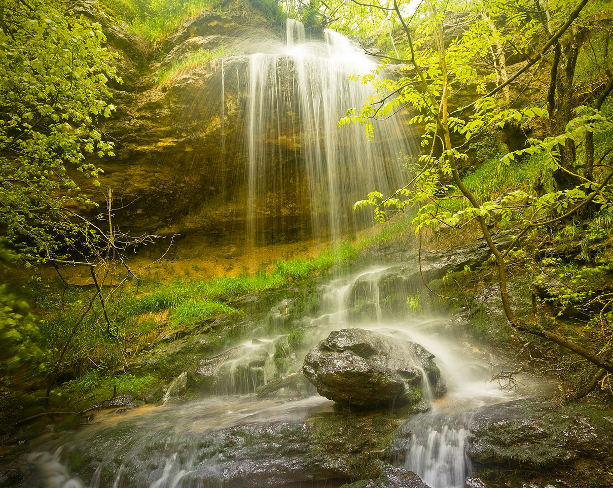 waterfall_forest.jpg